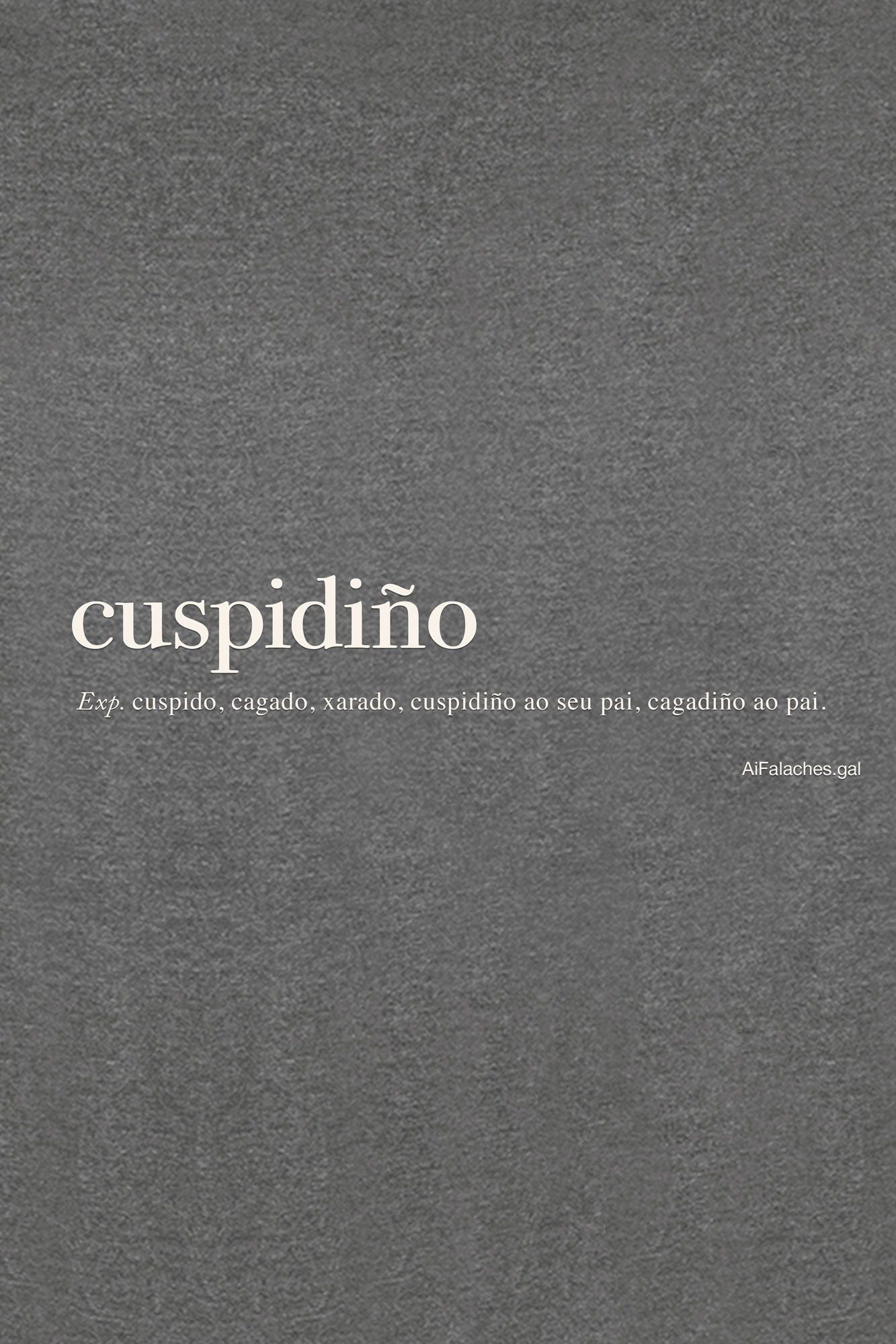 foto detalle camiseta cuspidiño