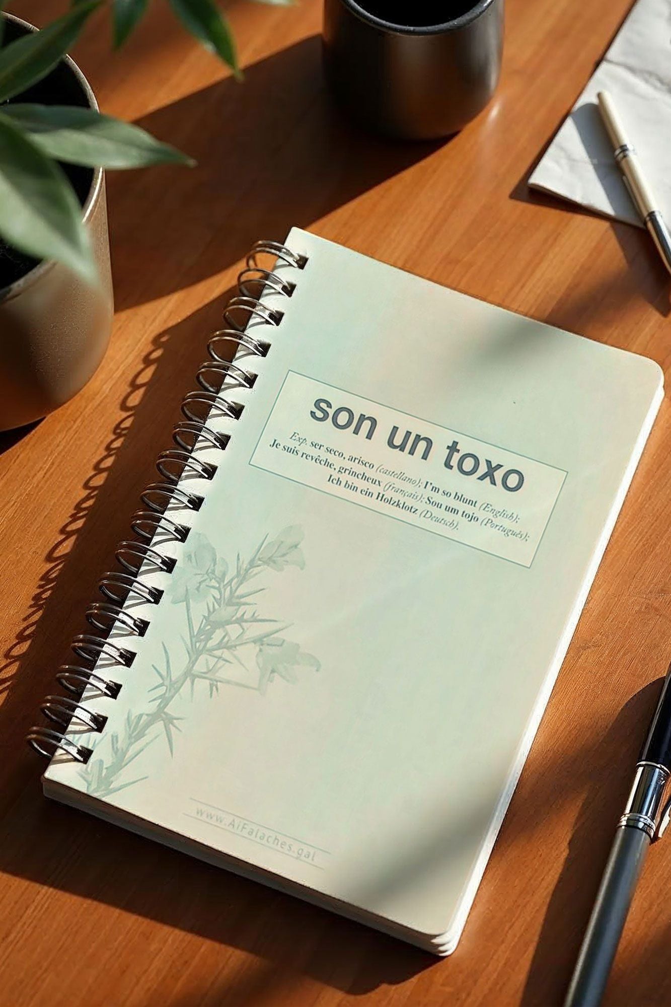 foto do caderno son un toxo de aifalaches