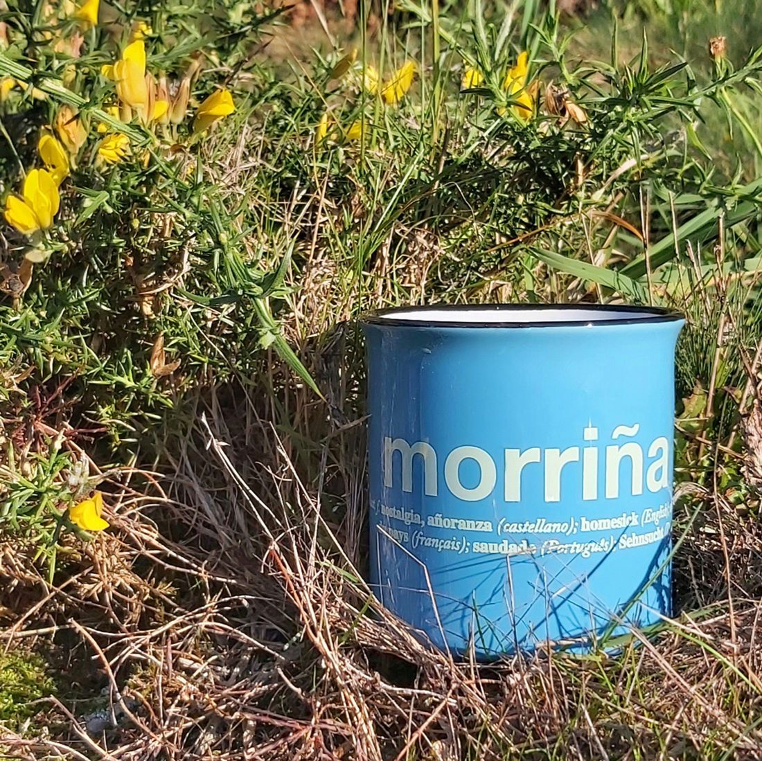 cunca morriña toxos